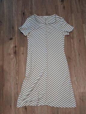 M Coldwater Creek Jersey Dress Stripped